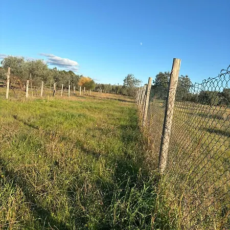 Сasa de vacaciones With A Great Fenced Garden In The Tuscan Countryside *