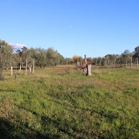 With A Great Fenced Garden In The Tuscan Countryside Cecina (Livorno)