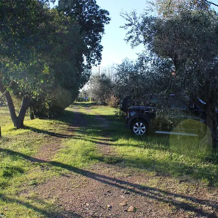 בית נופש With A Great Fenced Garden In The Tuscan Countryside *