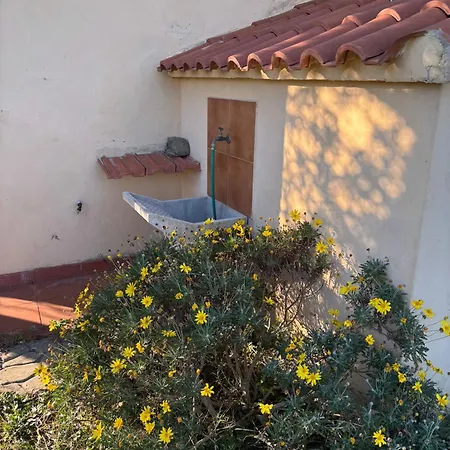 With A Great Fenced Garden In The Tuscan Countryside Сasa de vacaciones Cecina (Livorno)
