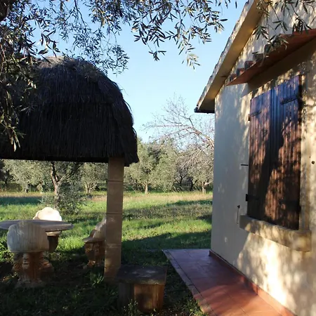 בית נופש With A Great Fenced Garden In The Tuscan Countryside צ'צ'ינה